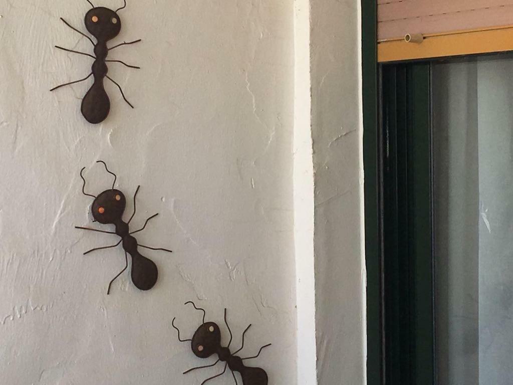 Bonito Apartamento En Zahara De Los Atunes Dış mekan fotoğraf